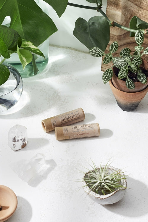 Baume à lèvre aux plantes BIO