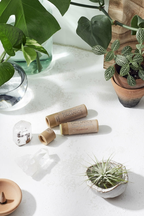 Baume à lèvre aux plantes BIO