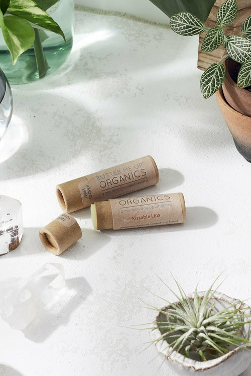 Baume à lèvre aux plantes BIO